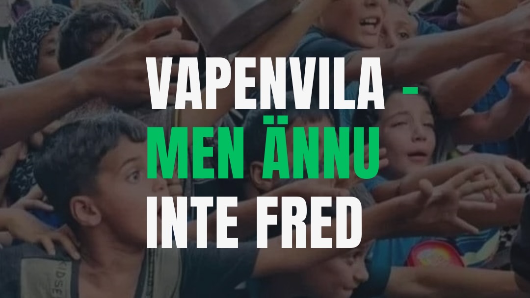 Uttalande: Vapenvila - men ännu inte fred